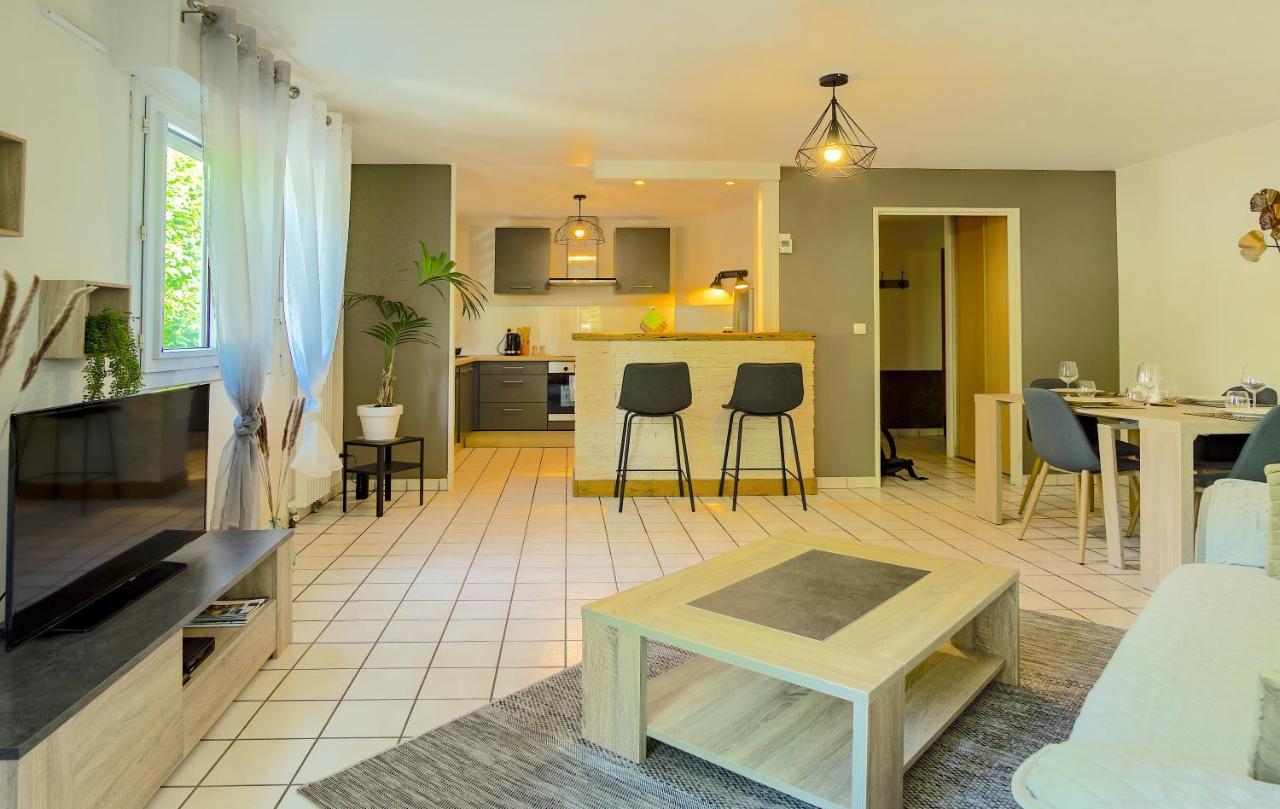 100 Geneve Joli T2 Avec Place De Parking Privee Annecy Dış mekan fotoğraf